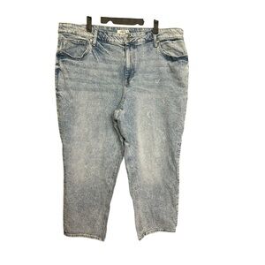 Edgely High Waist Slim Straight Ankle Distressed Silver Dot Jeans Plus Size 22W